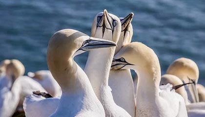 开云体育官方入口-中国足球职业联赛完善赛事突发状况应对机制，中国足球职业联赛正式开始